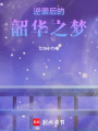 逆襲后的韶華之夢