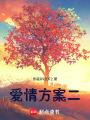 愛(ài)情方案二