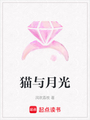 貓與月光