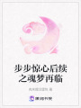 步步驚心后續之魂夢再臨