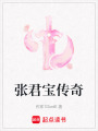 張君寶傳奇