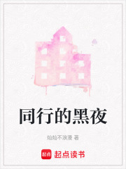 同行的黑夜