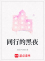 同行的黑夜