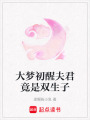 大夢初醒夫君竟是雙生子
