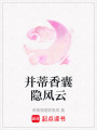 并蒂香囊隱風云