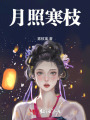 月照寒枝