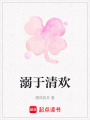 溺于清歡