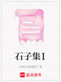 石子集1