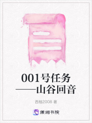 001號任務——山谷回音