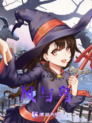 風(fēng)與鳥