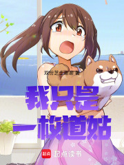 我只是一枚道姑