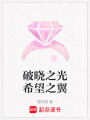 破曉之光希望之翼