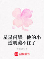 星星閃耀：他的小透明藏不住了