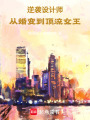 逆襲設(shè)計(jì)師：從婚變到頂流女王