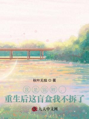 我是錦鯉，重生后這盲盒我不拆了