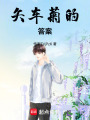 矢車菊的答案