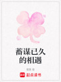 蓄謀已久的相遇