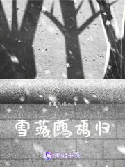 雪落鷓鴣歸