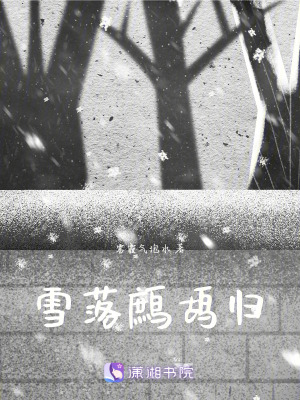 雪落鷓鴣歸