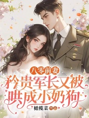 主人公唐嘉茵靳北章小说八零前妻：矜贵军长又被哄成小奶狗在线无删减阅读