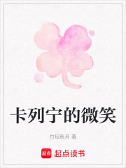 卡列寧的微笑
