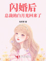 閃婚后，總裁的白月光回來了