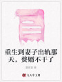 重生到妻子出軌那天,，贅婿不干了