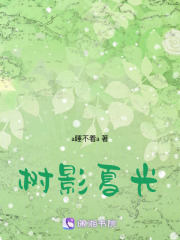 樹影夏光