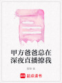 甲方爸爸總在深夜直播撩我