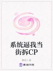 系統逼我當街拆CP