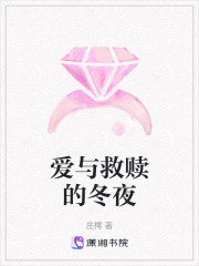 愛與救贖的冬夜