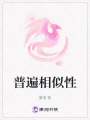 普遍相似性