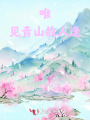 唯見青山故人逢
