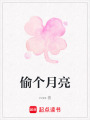 偷個月亮