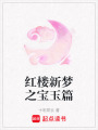 紅樓新夢之寶玉篇