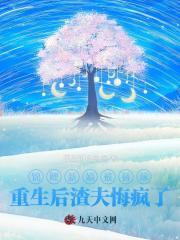 主角沈星辰陆烬小说无删减在线阅读，锦鲤新娘被替嫁重生后渣夫悔疯了免费看