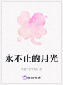 永不止的月光