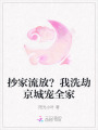抄家流放？我洗劫京城寵全家