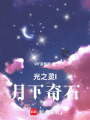 光之靈I月下奇石