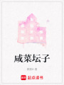 咸菜壇子