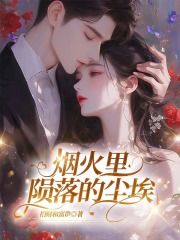 烟火里陨落的尘埃沈慕清陆聿安小说，烟火里陨落的尘埃在线章节试读