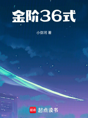 金階36式