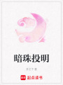 暗珠投明
