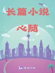 長篇小說心隨