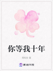 你等我十年