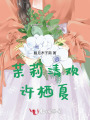 茉莉清歡許棲夏