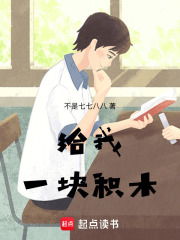 給我一塊積木