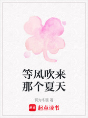 等風吹來那個夏天
