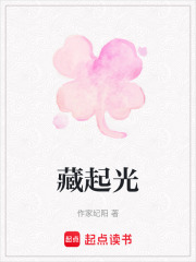 藏起光