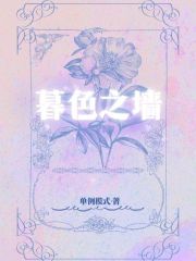 暮色之墻